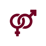GEnder equality changes under the employment rights bill